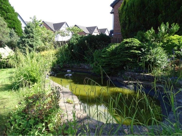 Vallum House كارلايل المظهر الخارجي الصورة